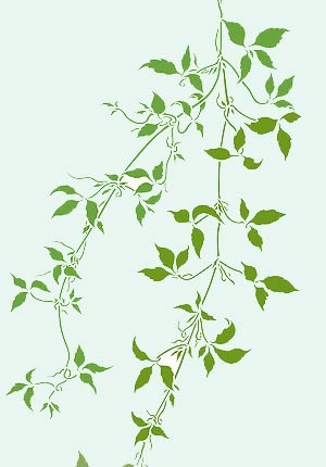 Trailing Clematis Leaves Theme Pack Stencil