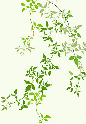 Large Trailing Clematis Leaves Stencil 2