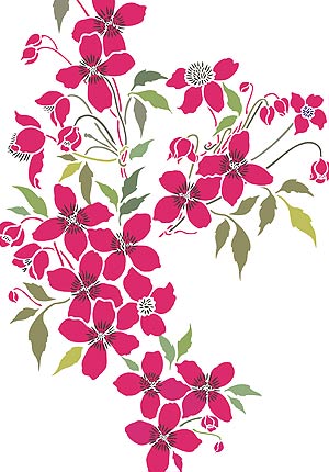 Large Montana Flower Clematis Theme Pack Stencil