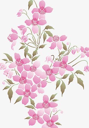 Large Montana Flower Clematis Theme Pack Stencil