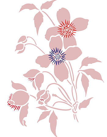 Supersize Montana Clematis Flower Stencil 1