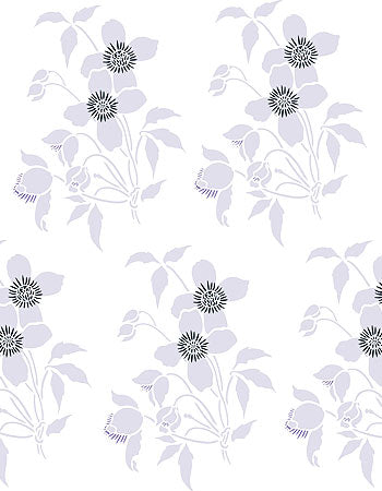 Supersize Montana Clematis Flower Stencil 1