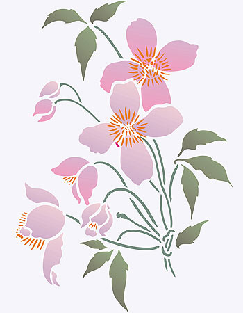 Supersize Montana Clematis Flower Stencil 1