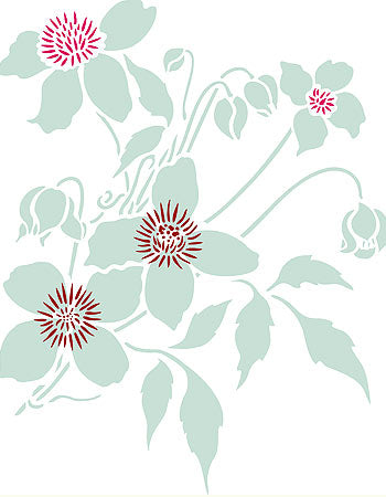 Supersize Montana Clematis Flower Stencil 2