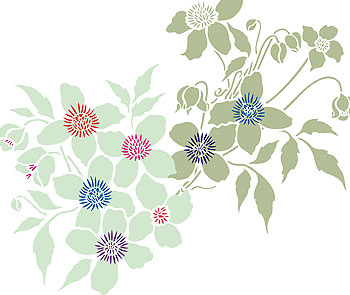 Supersize Montana Clematis Flower Stencil 3