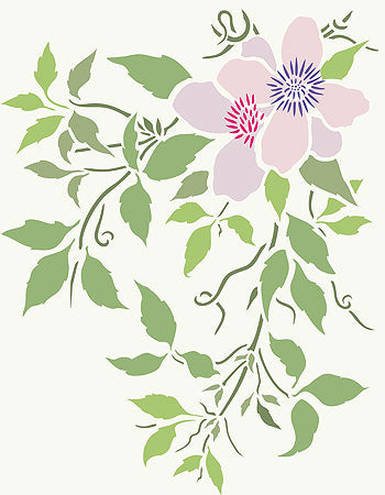 Supersize Montana Clematis Flower Stencil 4