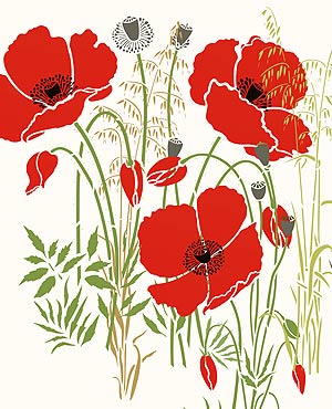 Large Wild Poppies Theme Pack Stencil