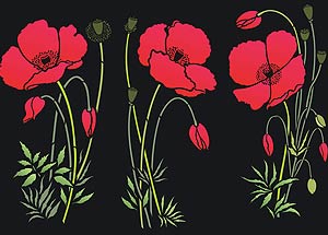 Large Wild Poppies Theme Pack Stencil