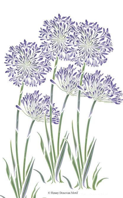 Agapanthus Stencil