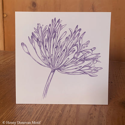 (4 Pack) Agapanthus Cards