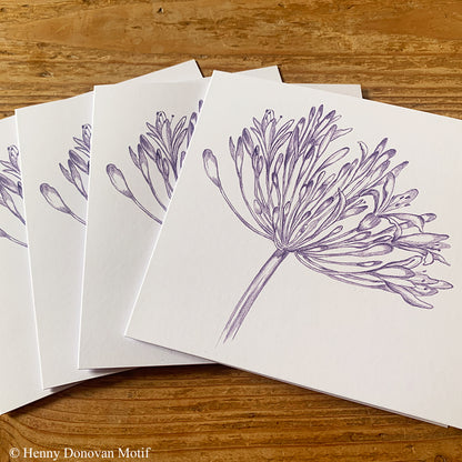 (4 Pack) Agapanthus Cards