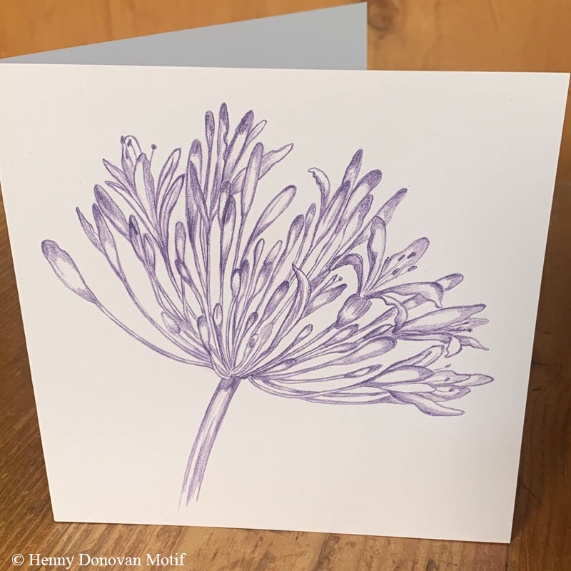 (4 Pack) Agapanthus Cards