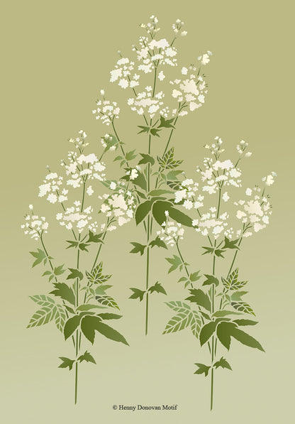 Small Meadowsweet Stencil