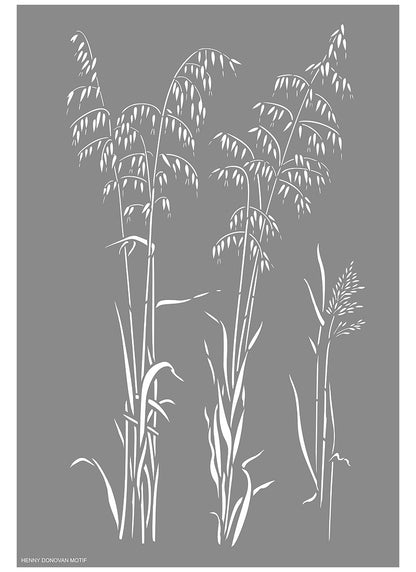 Wild Slender Oat Grass Stencil