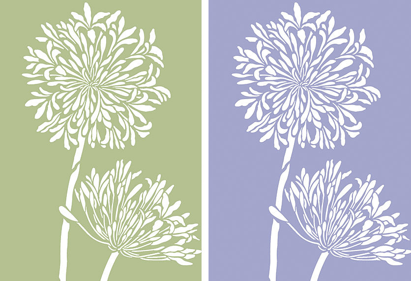 Agapanthus Stencil