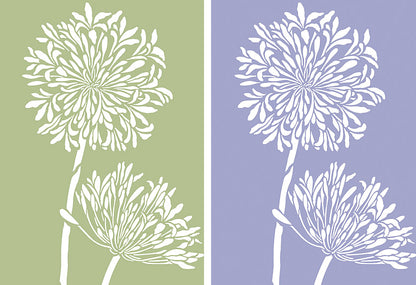 Agapanthus Stencil