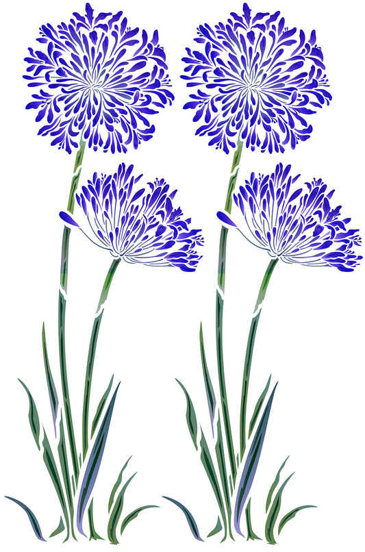 Agapanthus Stencil