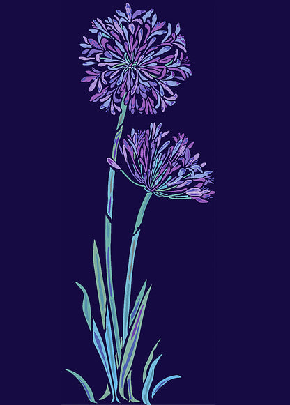 Agapanthus Stencil