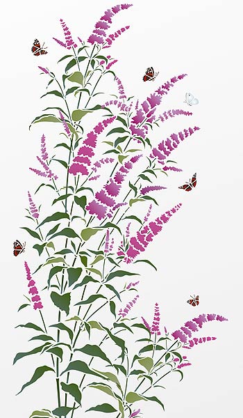 Buddleia Stem Stencil