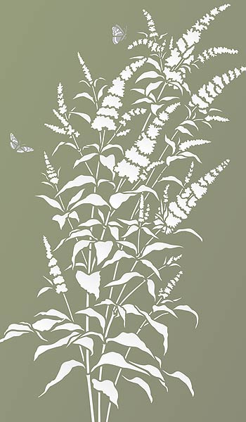 Buddleia Butterfly Bush Stencil