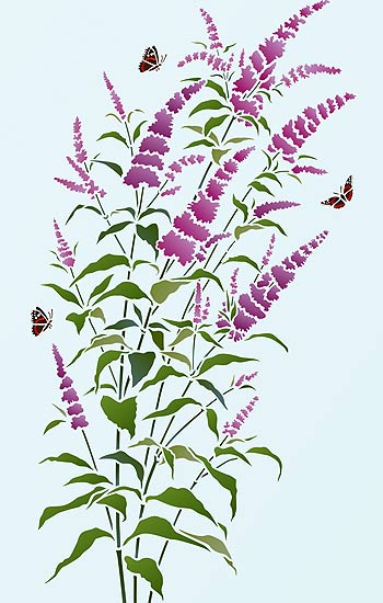 Buddleia Butterfly Bush Stencil