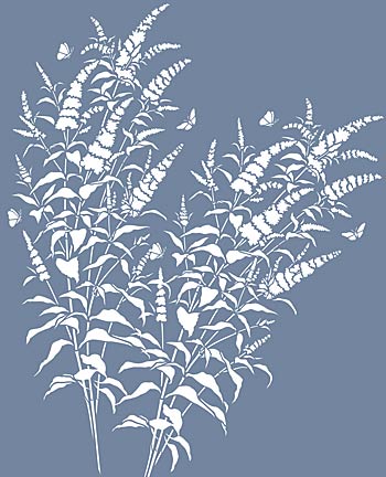 Buddleia Butterfly Bush Stencil