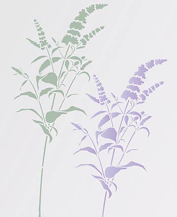 Buddleia Stem Stencil