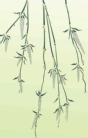 Large Willow Catkins Stencil