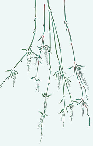 Large Willow Catkins Stencil