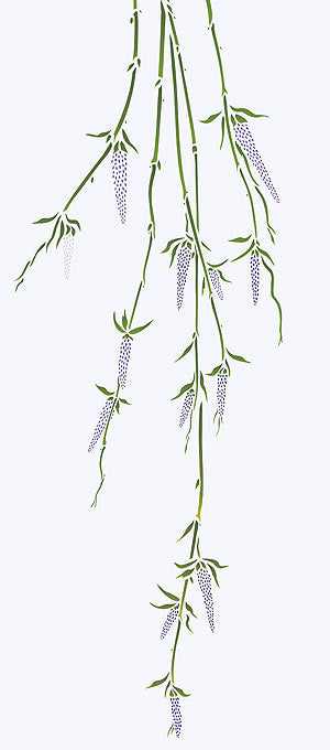 Large Willow Catkins Stencil