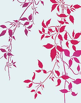 Trailing Clematis Leaves Theme Pack Stencil