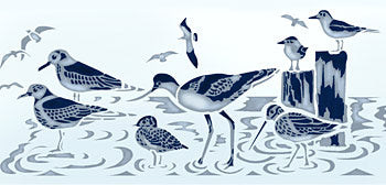 Coastal Birds Border Stencil