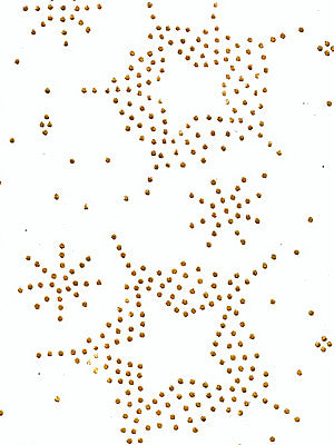 Dotty Stars Stencil