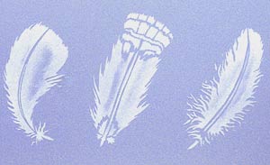 Feathers Theme Pack Stencil