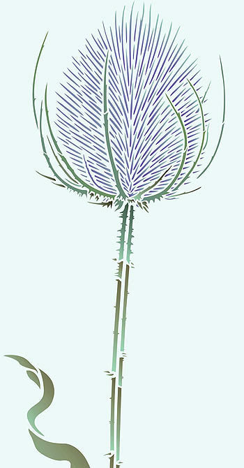 Giant Wild Teasel Stencil 1