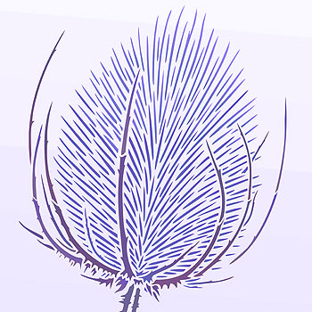 Giant Wild Teasel Stencil 1