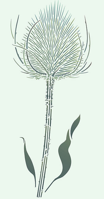 Giant Wild Teasel Stencil 2