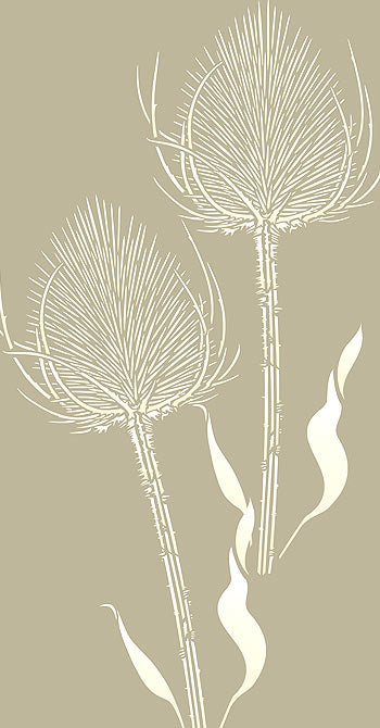 Giant Wild Teasel Stencil 2