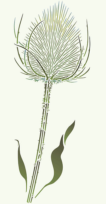 Giant Wild Teasel Stencil 2