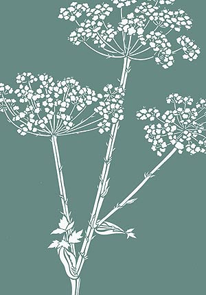 Giant Hogweed Stencil