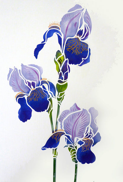 Iris Stencils 1 and 2