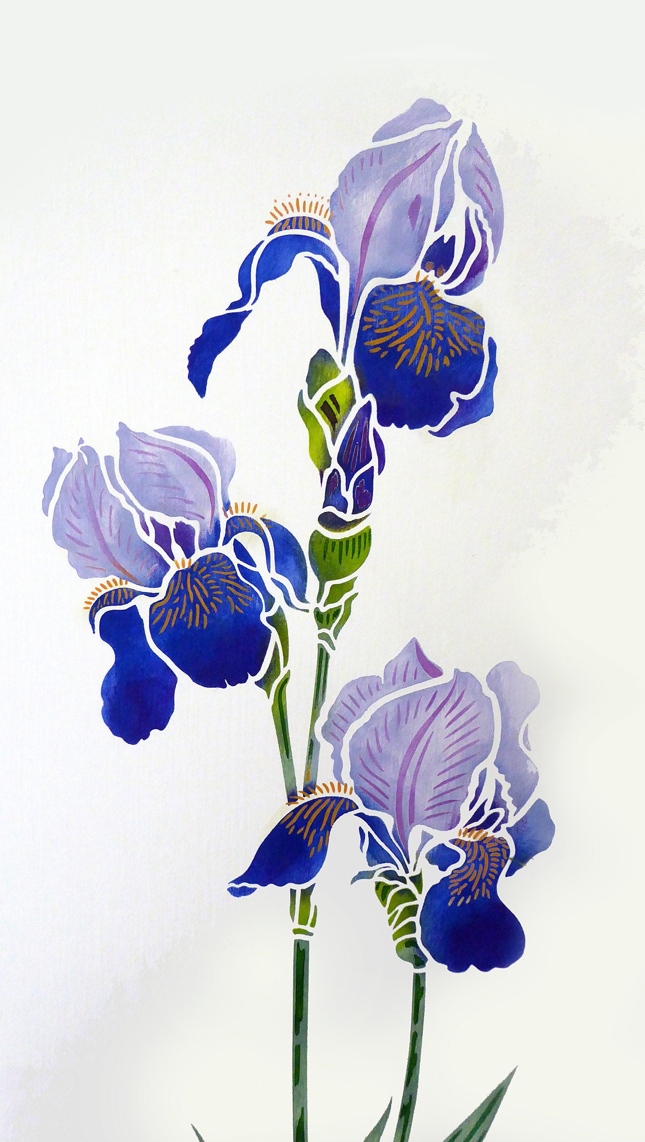 Iris Stencil 1