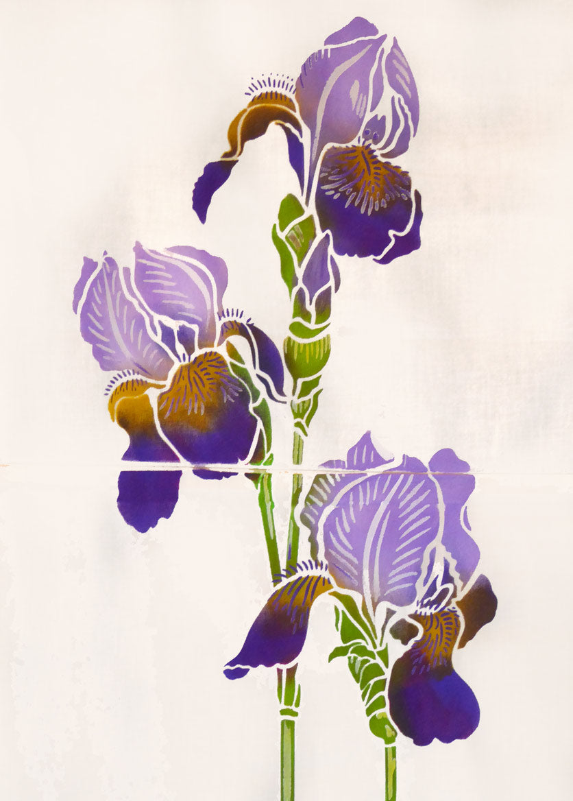 Iris Stencil 1