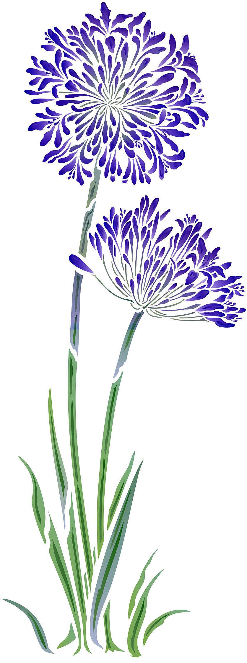 Large Agapanthus Flower Stencil