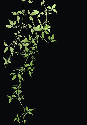 Large Trailing Clematis Leaves Stencil 3