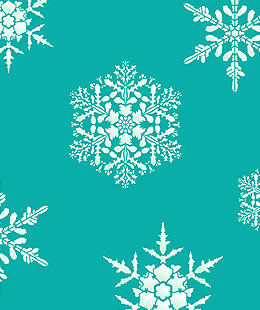 Large Snowflakes Theme Pack Stencil