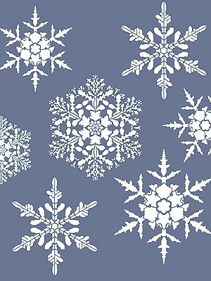 Large Snowflakes Theme Pack Stencil