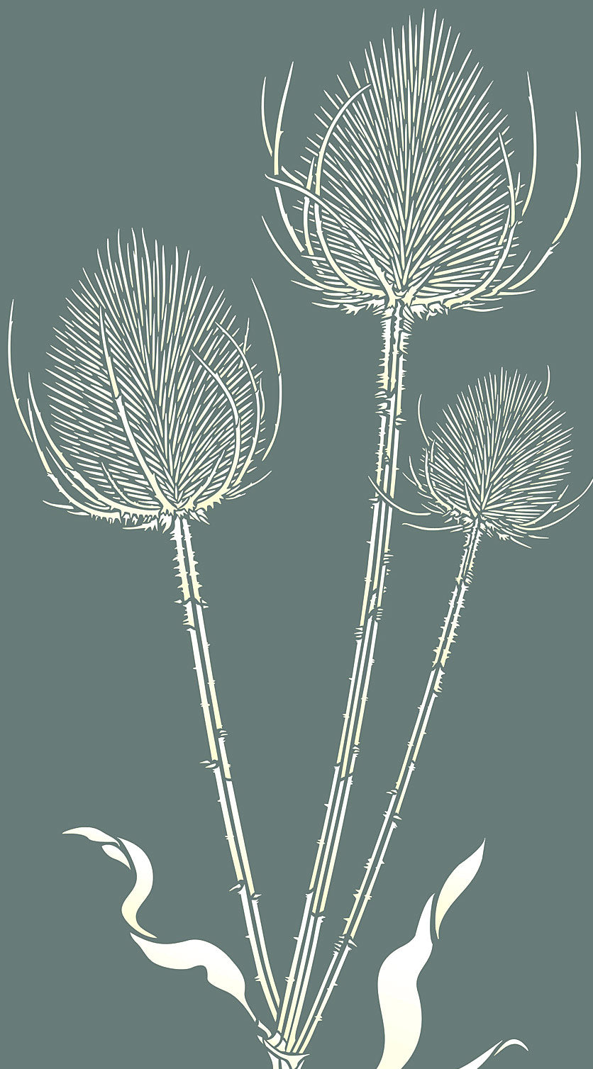 Large Wild Teasels Stencil