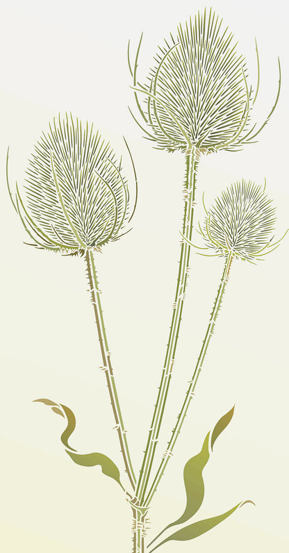 Large Wild Teasels Stencil