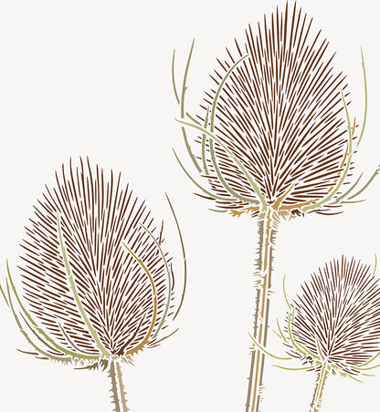 Large Wild Teasels Stencil